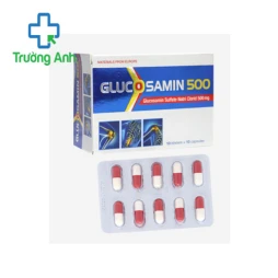 GUSAMIN 500 - Hỗ trợ làm giảm triệu chứng của viêm khớp
