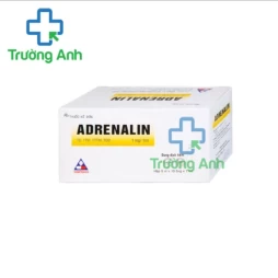 Adrenalin 1mg/10ml Vinphaco - Thuốc hồi sức tim phổi