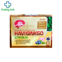 HOẠT HUYẾT DƯỠNG NÃO HAVI GINKGO - Hỗ trợ điều trị thiểu năng tuần hoàn não