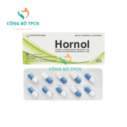 Hornol - Thuốc hỗ trợ điều trị các bệnh thần kinh của Davipharm