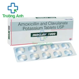 Indclav 1000 - Thuốc điều trị nhiễm khuẩn của India