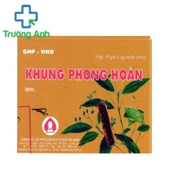 Khung phong hoàn Hà Nam - Viên uống giảm đau xương khớp hiệu quả
