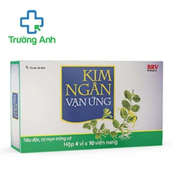 Kim ngân vạn ứng BV Pharma - Thuốc điều trị dị ứng hiệu quả