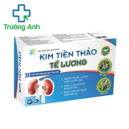 Kim tiền thảo tế lương - Giúp lợi tiểu, hạn chế tạo sỏi tiết niệu