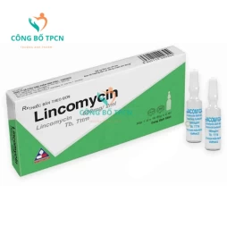 Lincomycin Vinphaco - Thuốc điều trị bệnh nhiễm khuẩn hiệu quả