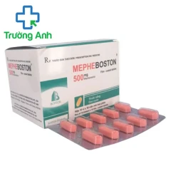 Mepheboston 500mg Boston - Điều trị thoái hóa cột sống