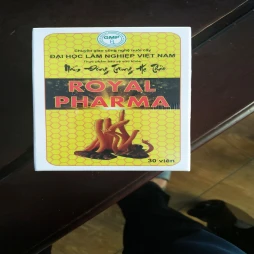 Nấm đông trùng hạ thảo Royal Pharma - Hỗ trợ bồi bổ cơ thể