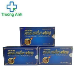 Nam Thần Công - Giúp bổ thận, tráng dương, tăng cường sinh lực