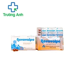 Novovalpo 250mg CPC1HN - Thuốc điều trị các cơn động kinh