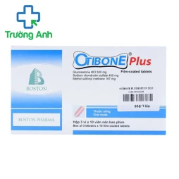 Otibone Plus Boston - Giúp giảm thoái hóa khớp