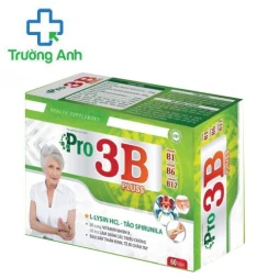 Pro 3B pluss - Hỗ trợ làm giảm các triệu chứng đau dây thần kinh