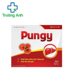 Pungy - Giúp tăng cường chức năng gan hiệu quả