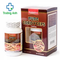 PURE CORDYCEPS - Hỗ trợ điều trị các bệnh về phổi, tim, gan