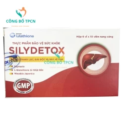 Silydetox Dolexphar - Hỗ trợ tăng cường chức năng gan hiệu quả