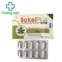 SokelPLus - Giúp hỗ trợ tăng cường tái tạo tiểu cầu hiệu quả