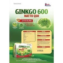 Ginkgo 600 Natto Q10 - Thực phẩm chức năng tăng cường tuần hoàn