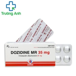 Dozidine MR 35mg  - Thuốc điều trị chóng mặt, đau thắt ngực của Domesco
