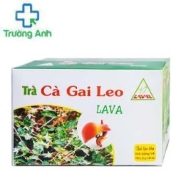 Trà Cà Gai Leo Lava - Bảo vệ phục hồi tế bào gan, hạ men gan