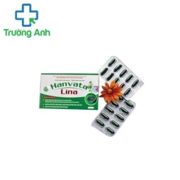 Tuần hoàn máu não Hanvata Lina -  Hỗ trợ hoạt huyết