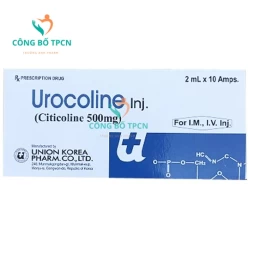 Urocoline 500mg - Thuốc điều trị bệnh não cấp và mạn tính hiệu quả