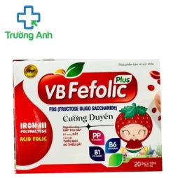 VBfefolic Plus - Giúp bổ sung sắt và một số vitamin cho cơ thể