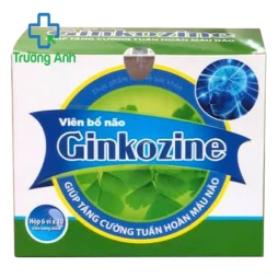 VIÊN BỔ NÃO GINKOZINE - Hỗ trợ tăng cường lưu thông máu