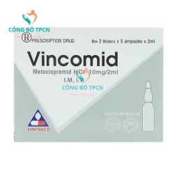 Vingomin 0,2mg/1ml Vinphaco - Thuốc điều trị xuất huyết sản khoa