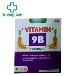 Vitamin 9B Ecoginseng -  Hỗ trợ tăng sức đề kháng