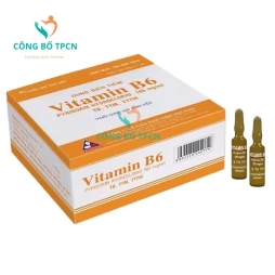 Vitamin B6 100mg/1ml Vinphaco - Hỗ trợ cung cấp vitamin B6